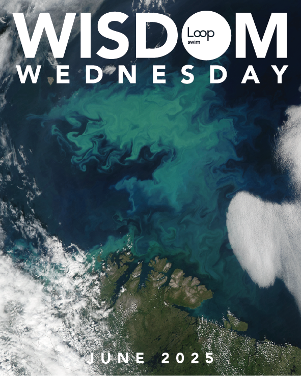 #WISDOMWEDNESDAY WITH LOOP - JUNE '25